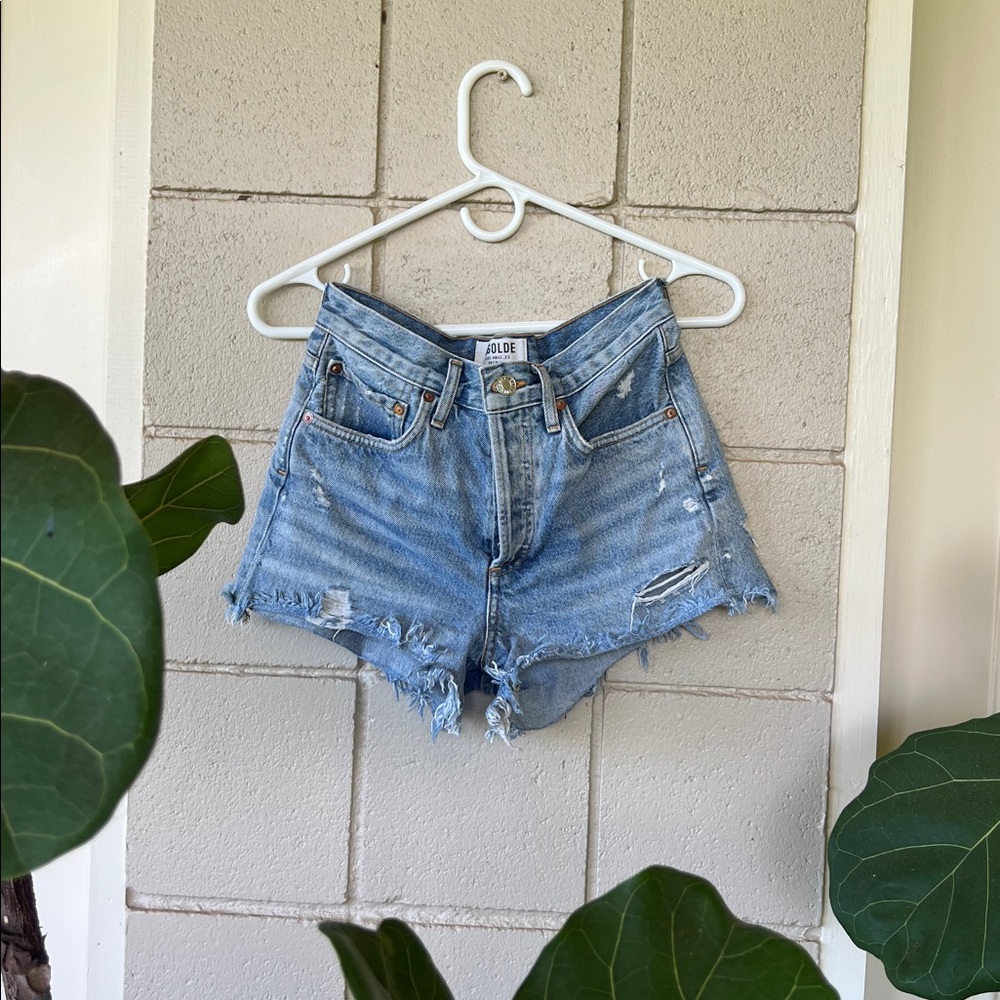 Agolde Parker Vintage Cut off Shorts: Swapmeet